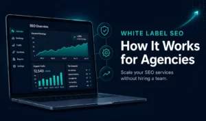 White label on page SEO agency guide showing SEO dashboard with rising keyword rankings and traffic growth for digital marketing agencies